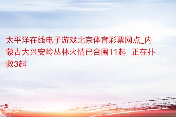 太平洋在线电子游戏北京体育彩票网点_内蒙古大兴安岭丛林火情已合围11起  正在扑救3起