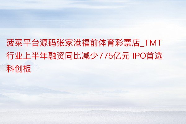 菠菜平台源码张家港福前体育彩票店_TMT行业上半年融资同比减少775亿元 IPO首选科创板