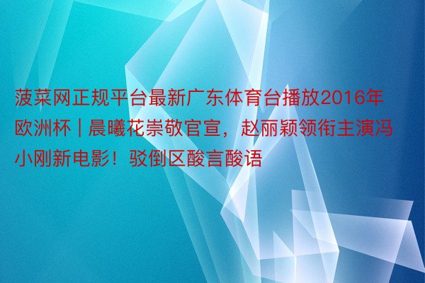 菠菜网正规平台最新广东体育台播放2016年欧洲杯 | 晨曦花崇敬官宣，赵丽颖领衔主演冯小刚新电影！驳倒区酸言酸语