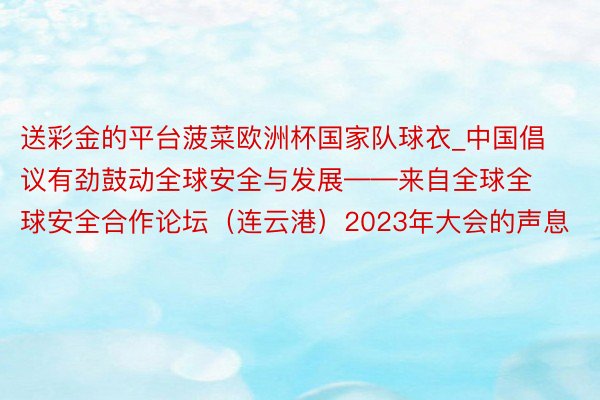 送彩金的平台菠菜欧洲杯国家队球衣_中国倡议有劲鼓动全球安全与发展——来自全球全球安全合作论坛（连云港）2023年大会的声息